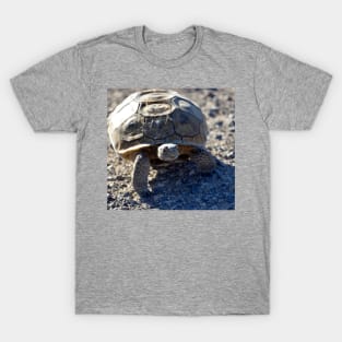 Desert Tortoise Photo T-Shirt